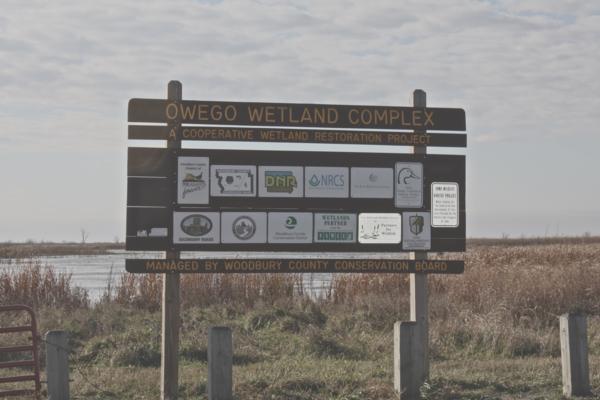 Owego Wetland complex between Salix and Hornick IA